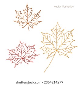 Vector set of hand drawn fall leave of maple in graphics