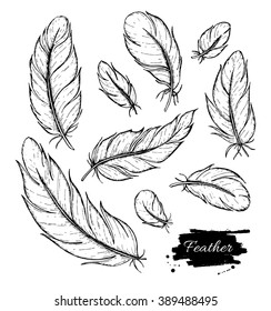 Vector set of hand drawn feather. Ink vintage illustration. Isolated detailed drawing on white background.