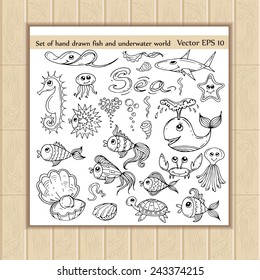 Vector set of hand drawn fish and underwater world icons. Background for use in design