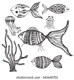 vector set of hand drawn fish, medusa and seaweed