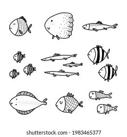 Vector Set Hand Drawn Fishes Collection Stock Vector (Royalty Free ...