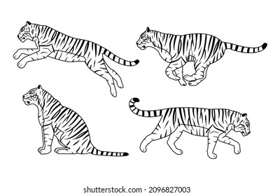 Vector set of hand drawn flat outline tigers isolated on white background