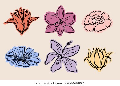 Vektorgrafik von handgezeichneten Blumenillustrationen mit Lilien, Orchideen, Pfingstrosen und Kamille. Perfekt für Design, Druck und Dekoration. 
