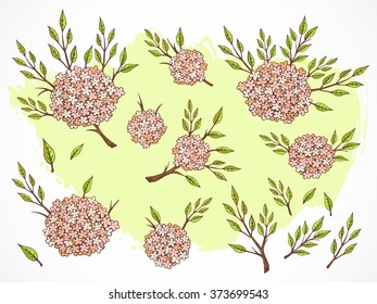 Vector set of hand drawn flowers, branches and leaves on textured background. In pink and green colors.