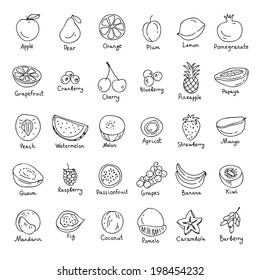 Vector Set Of Hand Drawn Fruit And Berries Icons