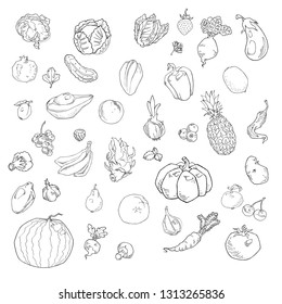 vector set of hand drawn fruits and vegetables