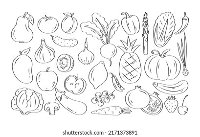 Vector Set Hand Drawn Fruits Vegetables Stock Vector (Royalty Free ...