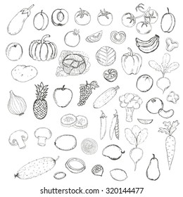 Vector Set of Hand Drawn Fruits and Vegetables