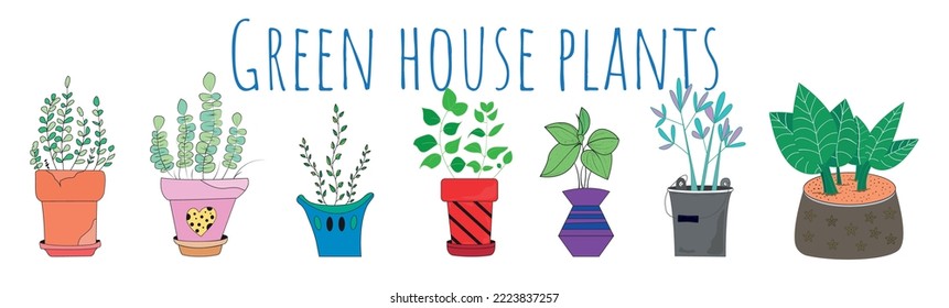 Vector set of hand drawn house plants in pots on isolated white background. The possibility of modifying and coloring. Illustration of house plants. Green twigs.