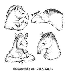 Vector set of hand drawn illustrations of tapirs in different emotions and poses. Sketch with funny animals.