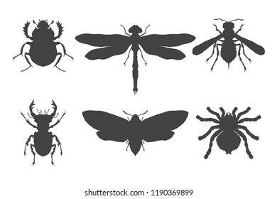 Vector set of hand drawn insects. Different insects in realistic style. Collection isolated black silhouette on white background. 