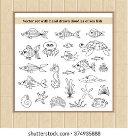Vector set with hand drawn isolated doodles of sea fish. Flat illustrations on the theme of sea, summer and travel. Sketches for use in design, web site, packing, textile, fabric