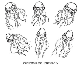 Vector set of hand drawn jellyfish illustration. Cute medusa sketch isolated on white background. For print, web, greeting card, design, decor.