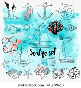 Vector set of hand drawn linear marine life  with watercolor texture.  Design for summer beach, decorations. Isolated on white vector illustration. Sea for menu, textiles. 
