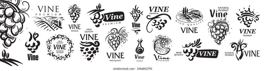 Vector set of hand drawn logos for wine