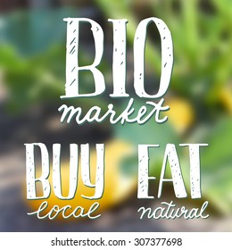 Vector set of hand drawn logos for healthy life on blurred background with yellow zucchini growing on the farm. Bio market, eat natural, buy local