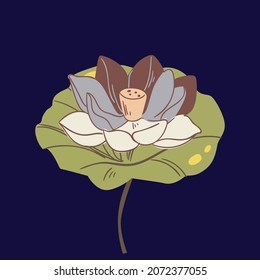 Vektorset von handgezeichneten Lotusblumen und Blättern. Blumenkorb-Kollektion auf Skizze