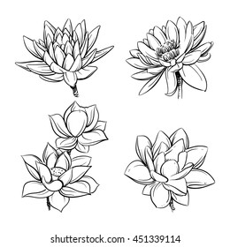 Vector set of hand drawn lotus flowers. Sketch floral botany collection in graphic black and white style
