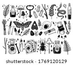 Vector set of hand drawn magical occult elements in graphic style. Sorceress collection. Hand drawn magic icons: skull, bones, feathers, crystals, potions, cards, runes, insects. Sacred mysterious art