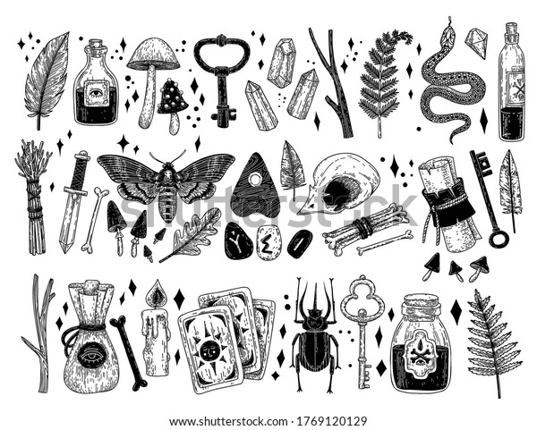 Vector set of hand drawn magical occult\
elements in graphic style. Sorceress collection. Hand drawn magic\
icons: skull, bones, feathers, crystals, potions, cards, runes,\
insects. Sacred mysterious\
art