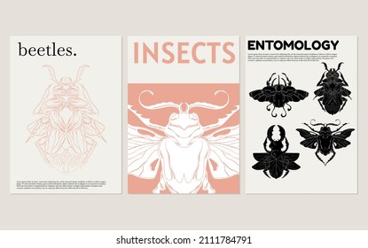 Vector  set of hand drawn  minimalistic placard with illustration. Creative collection with beetle. Template for card, poster, banner, print for t-shirt, pin, badge, patch.