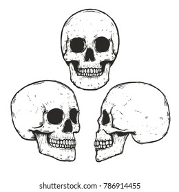 Vector Set Of hand drawn monochrome human skulls