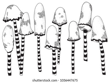 Vector set of hand drawn mushrooms. Page for coloring book. Doodle set.