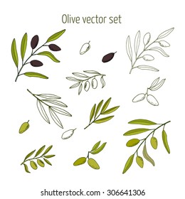 Vector set of hand drawn olive branches