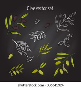 Vector set of hand drawn olive branches