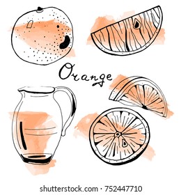 Vector set of hand drawn orange, jug with slices on watercolor background. Branding template.