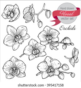 Vector set of hand drawn orchid branches with flowers. Sketch floral botany collection in graphic black and white style