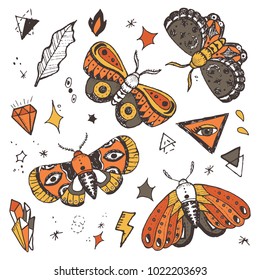 vector set of hand drawn ornate butterflies