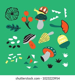 vector set of hand drawn ornate mushrooms and other natural elements