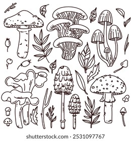 vector set with hand drawn outline mushrooms on white background