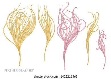 Vector set of hand drawn pastel feather grass