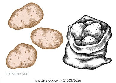 Vector set of hand drawn pastel potatoes