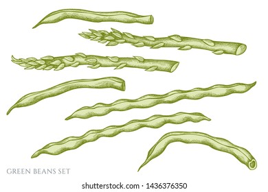 Vector set of hand drawn pastel green beans
