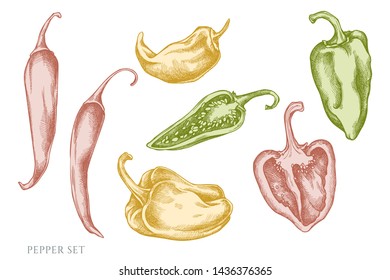 Vector set of hand drawn pastel pepper