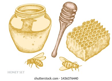 Vector set of hand drawn pastel honey