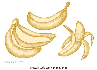 Vector set of hand drawn pastel bananas