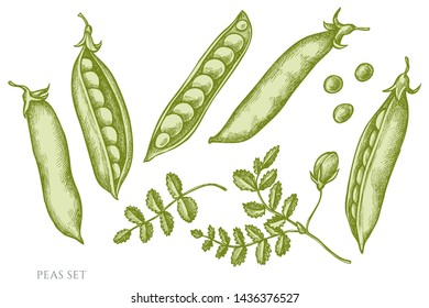 Vector set of hand drawn pastel peas