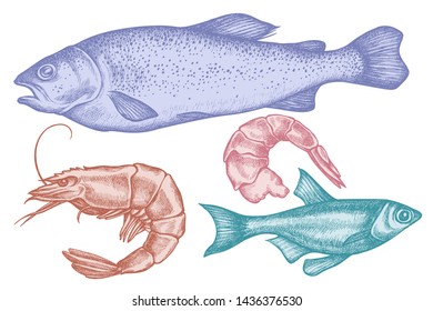 Vector set of hand drawn pastel fish, shrimp