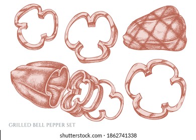 Vector set of hand drawn pastel grilled bell pepper