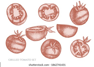 Vector set of hand drawn pastel grilled tomato