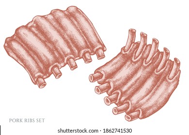 Vector set of hand drawn pastel Pork ribs