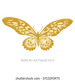 Vector set of hand drawn pastel african giant swallowtail