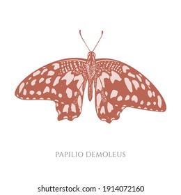 Vector set of hand drawn pastel lemon butterfly