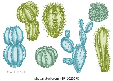 Vector set of hand drawn pastel cactus