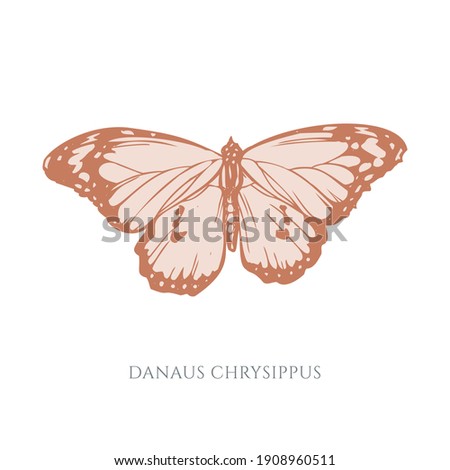 Vector set of hand drawn pastel plain tiger