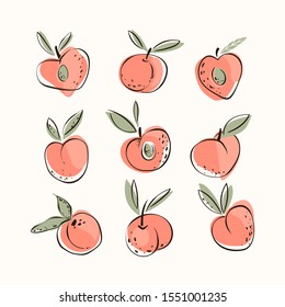 Vector set of hand drawn peaches. Vegetarian and vegan food in isolated modern design.